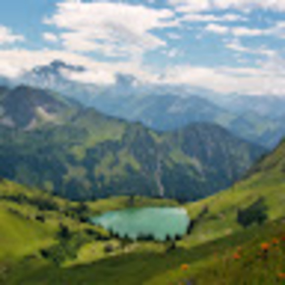 Meet your Posher, Leigh - Picture 1 of 1